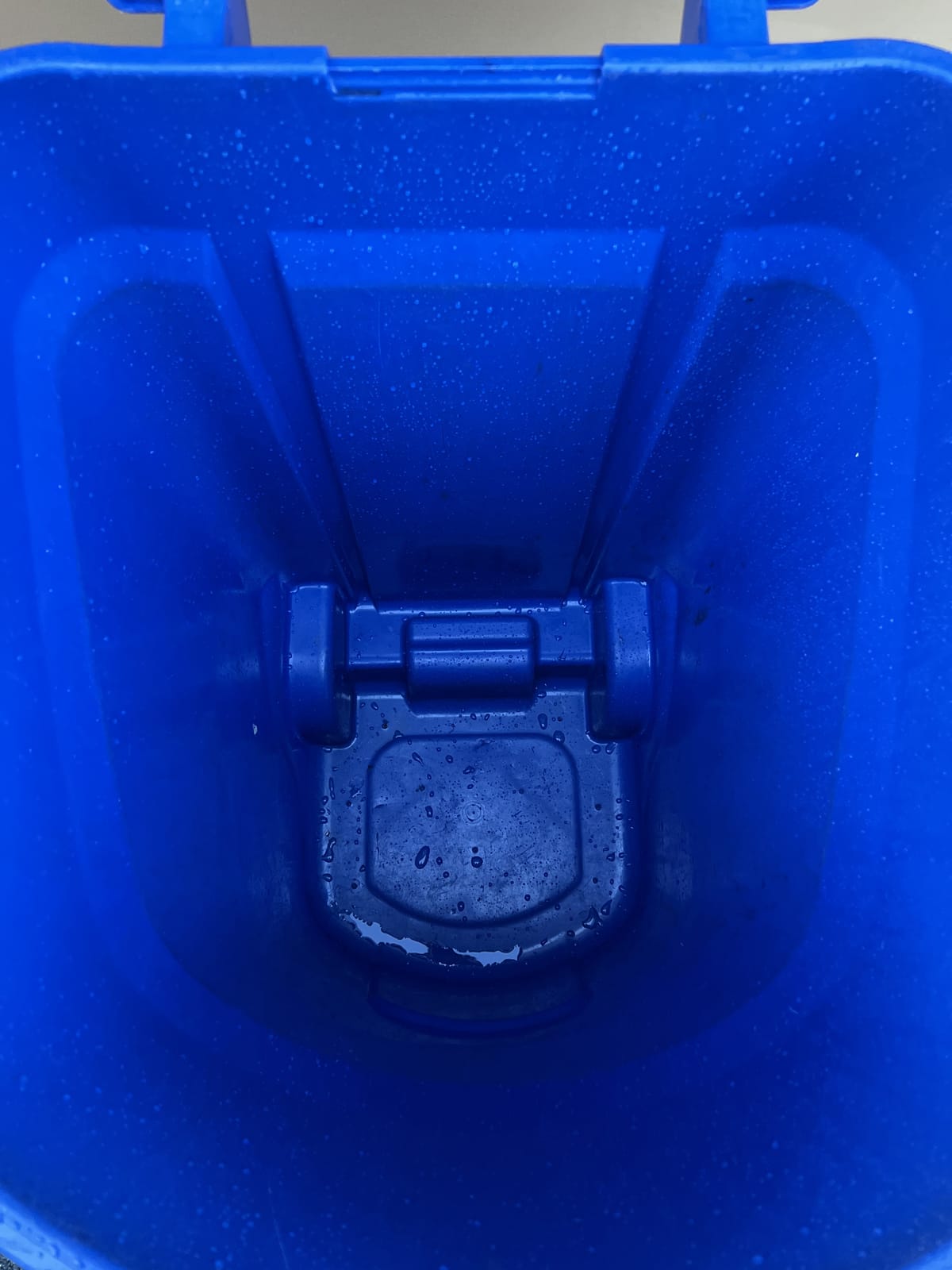 Clean trash bin after sanitation service