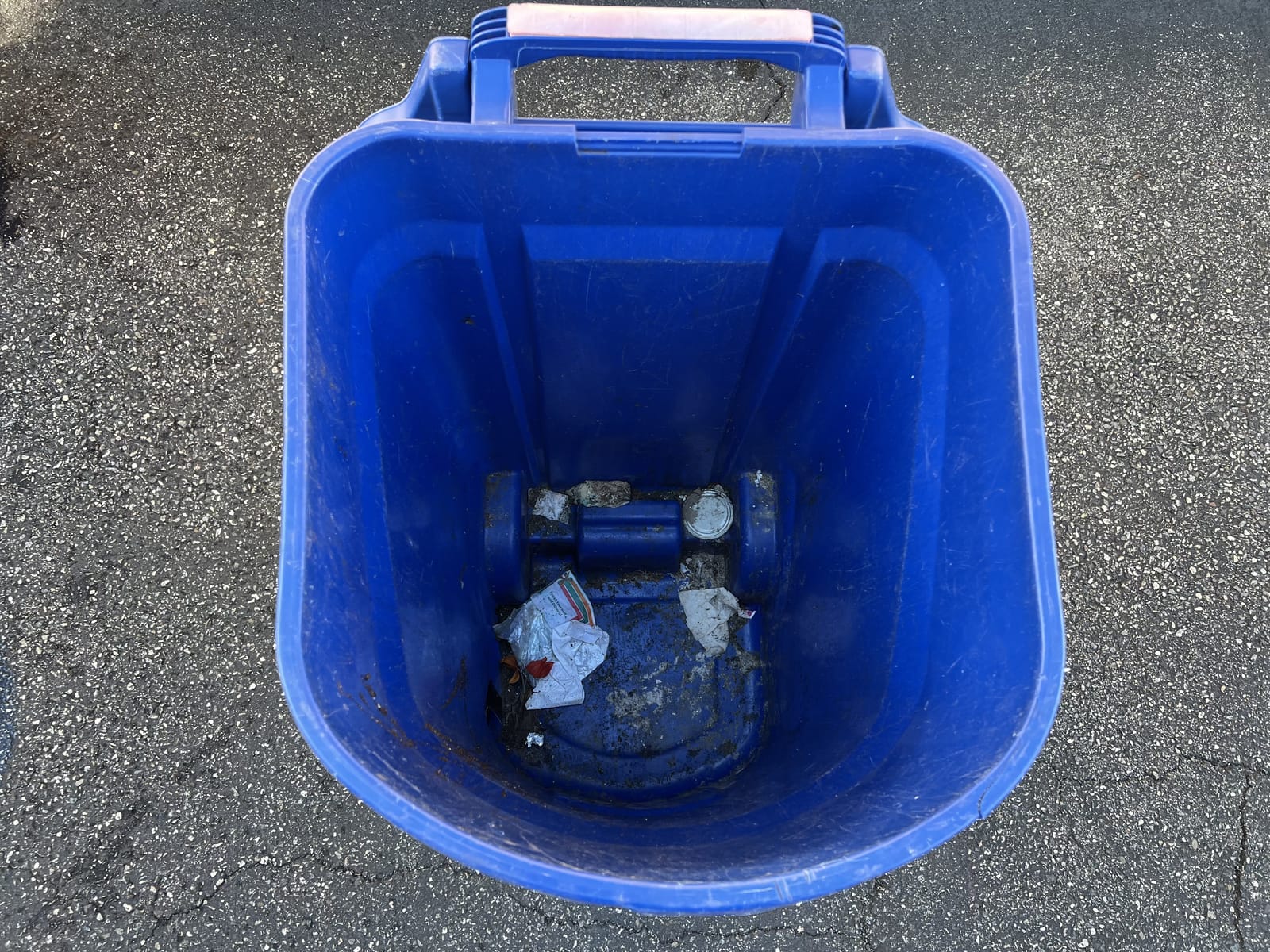 Trash bin before sanitation service