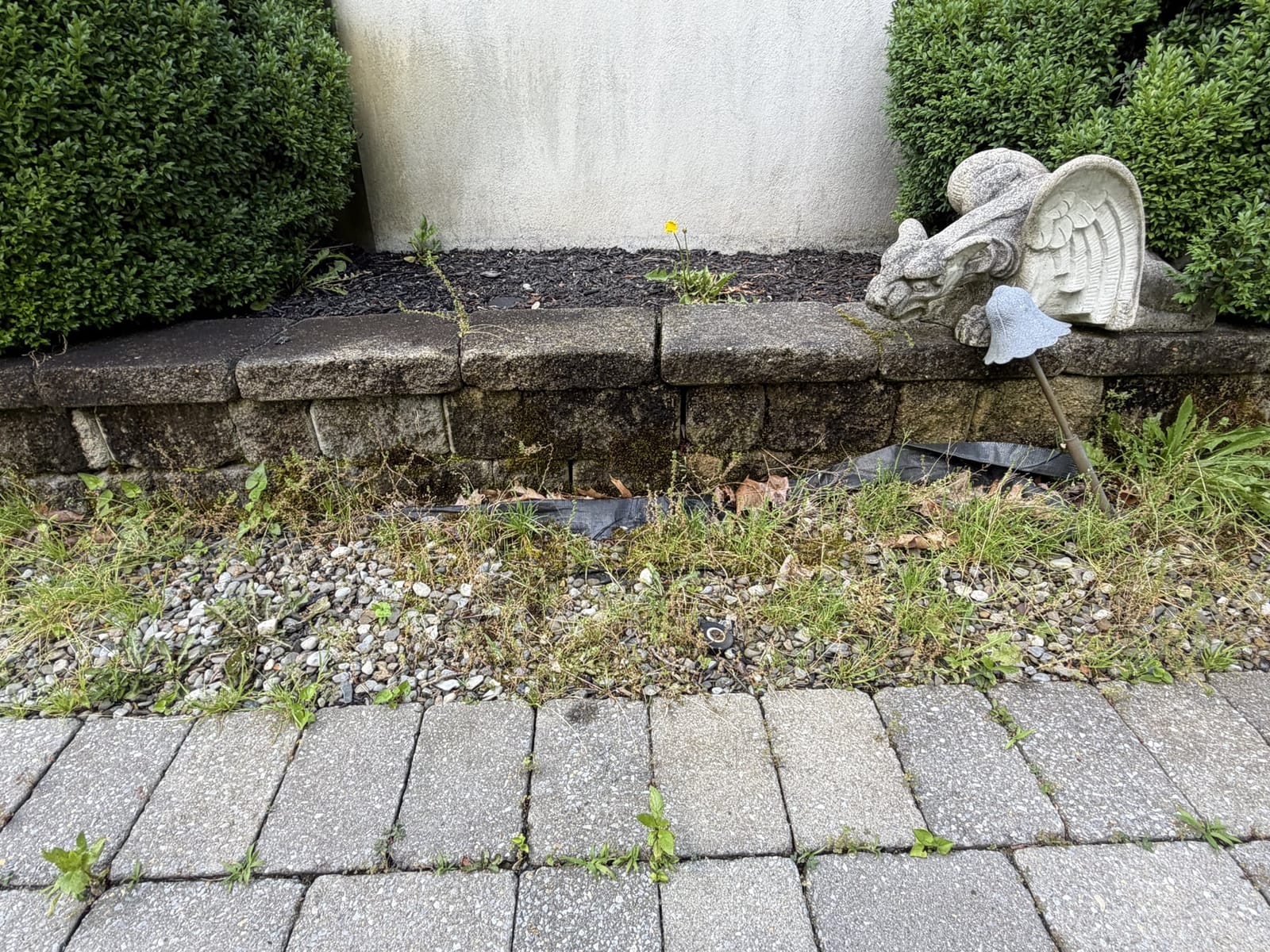 Stained retaining wall before soft washing service