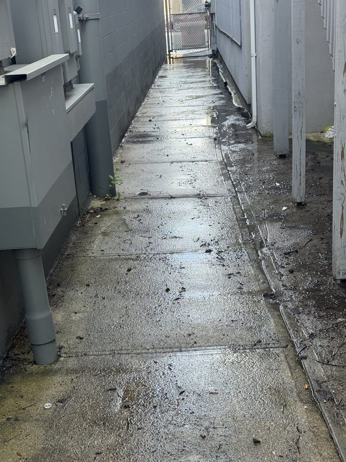 Cleaned concrete walkway after pressure washing