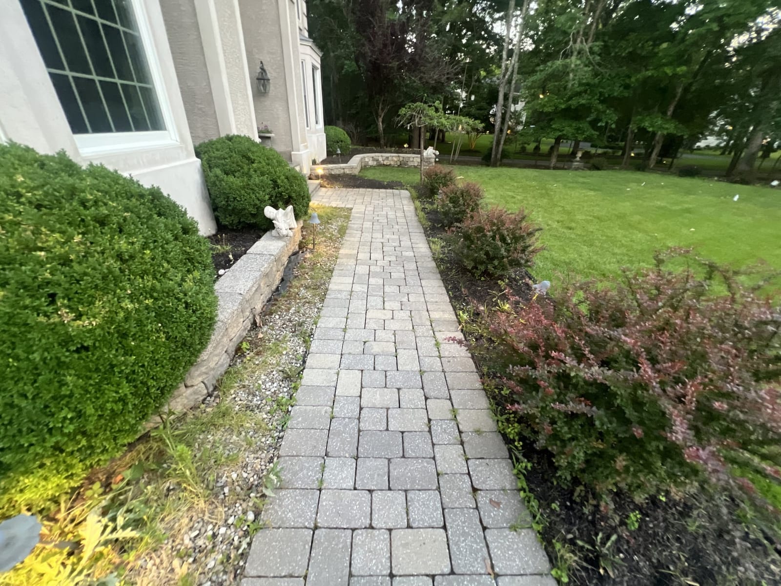 Cleaned front paver walkway beside a landscaped home