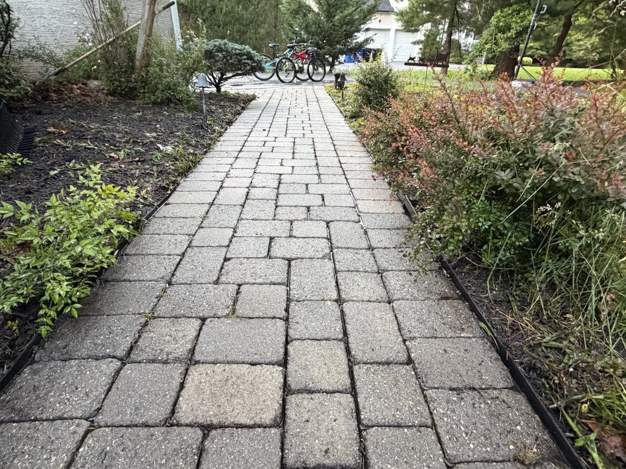 Cleaned paver walkway surrounded by landscaping