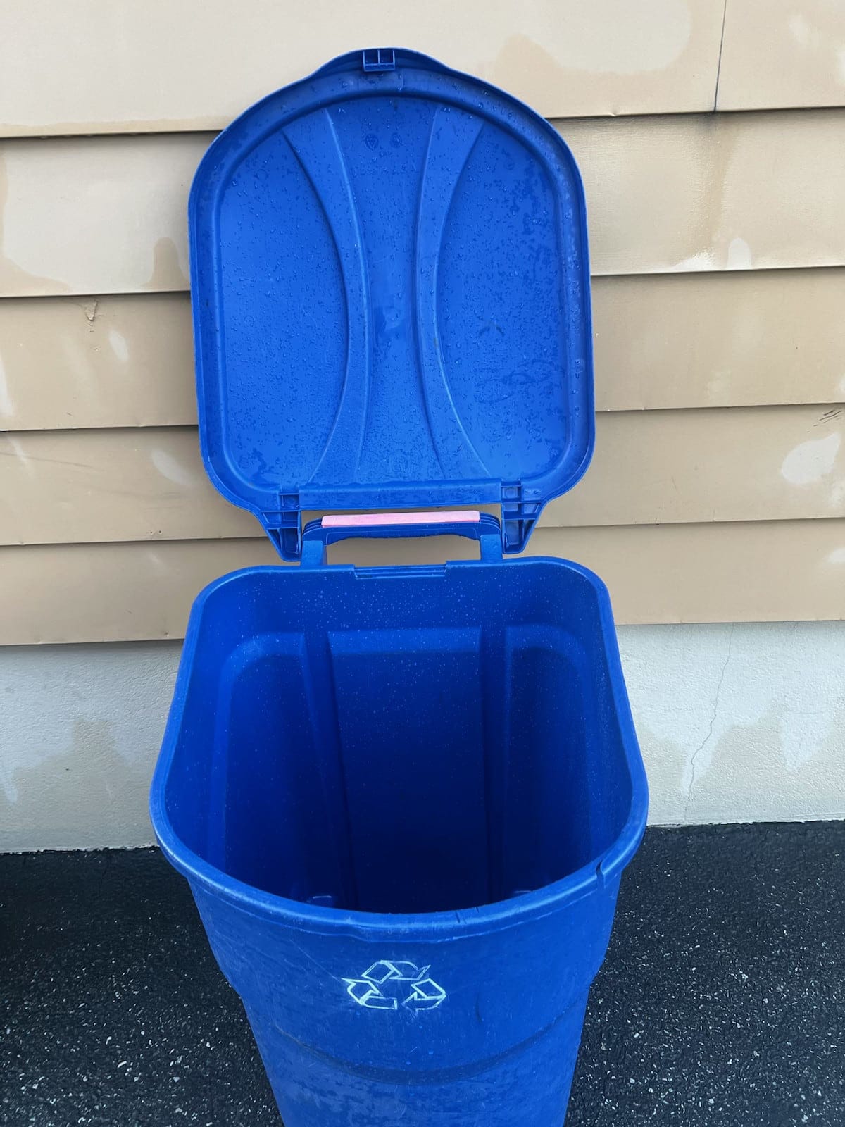 Sanitized blue recycling bin after cleaning service